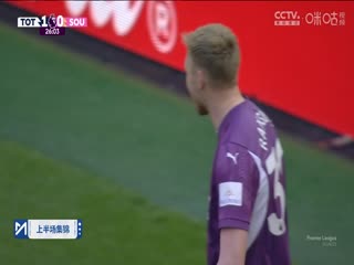 英超联赛 托特纳姆热刺VS南安普顿 20250406